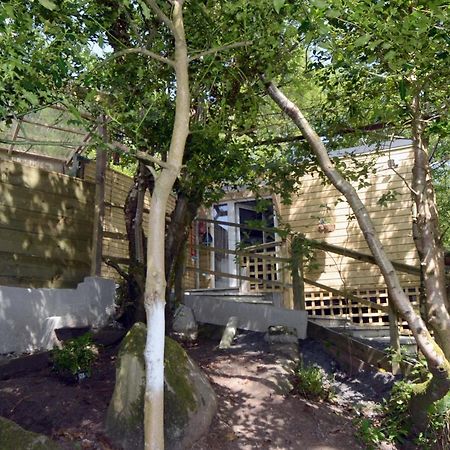 ווסטפורט Tawny Lodge מראה חיצוני תמונה