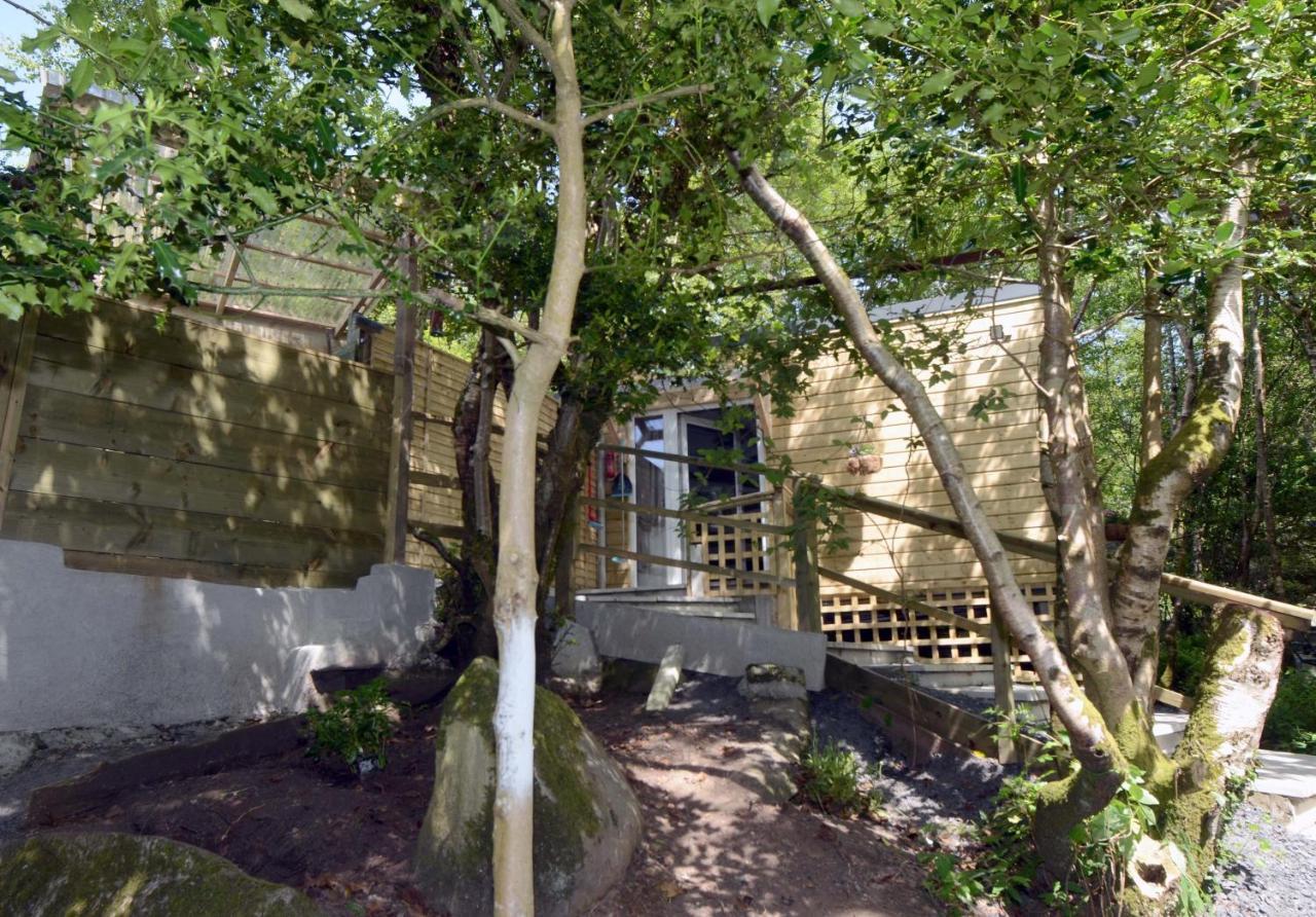 ווסטפורט Tawny Lodge מראה חיצוני תמונה