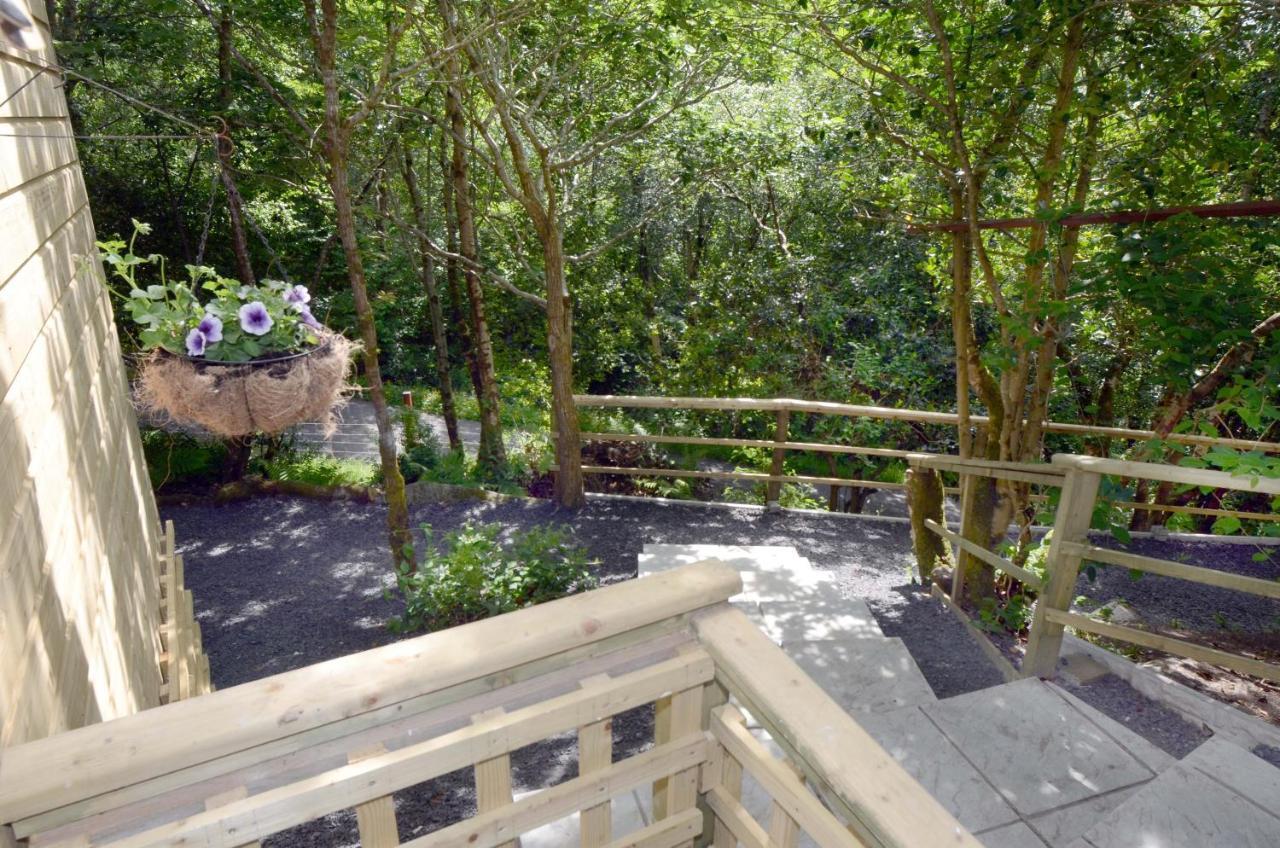 ווסטפורט Tawny Lodge מראה חיצוני תמונה