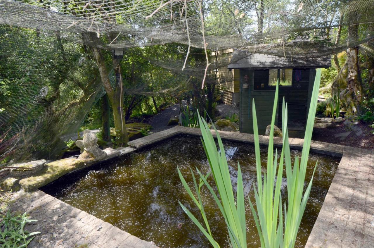 ווסטפורט Tawny Lodge מראה חיצוני תמונה