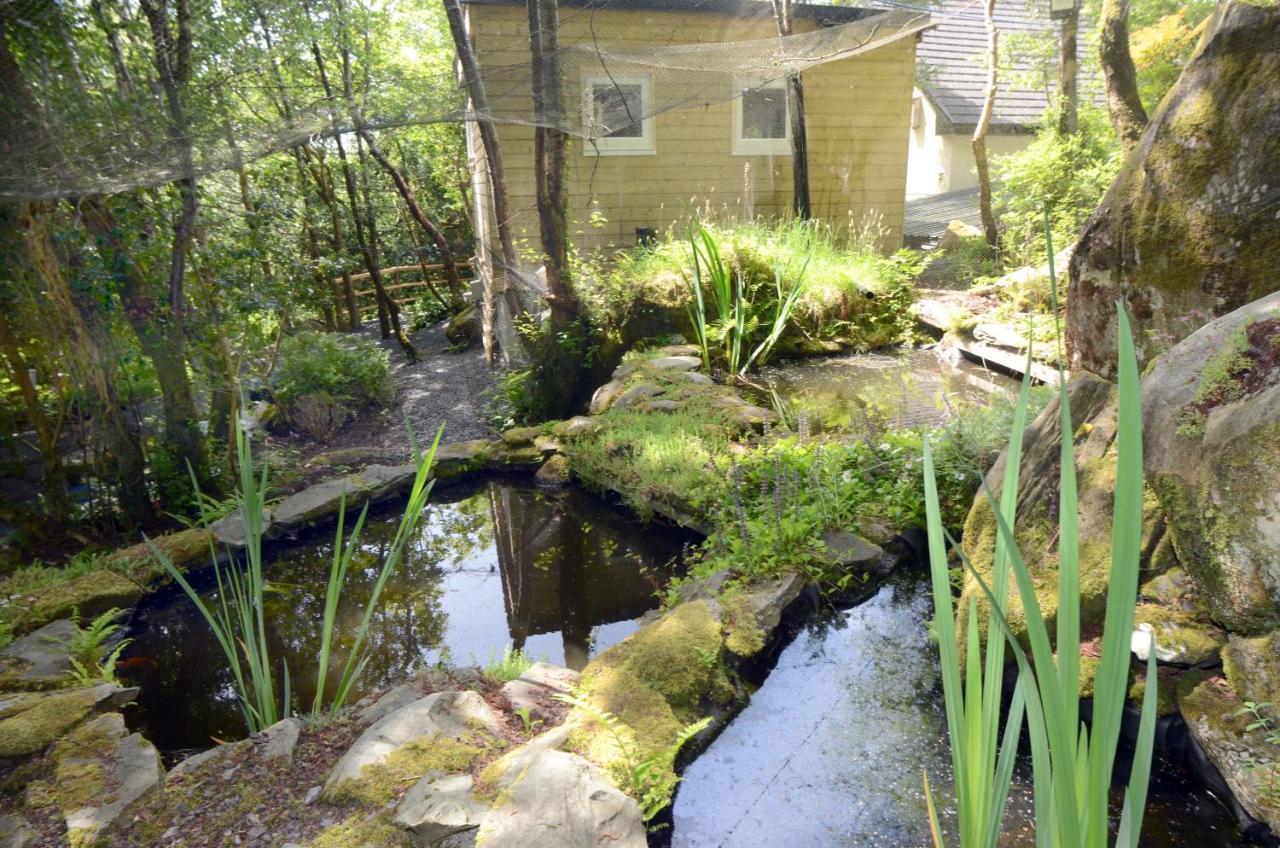 ווסטפורט Tawny Lodge מראה חיצוני תמונה