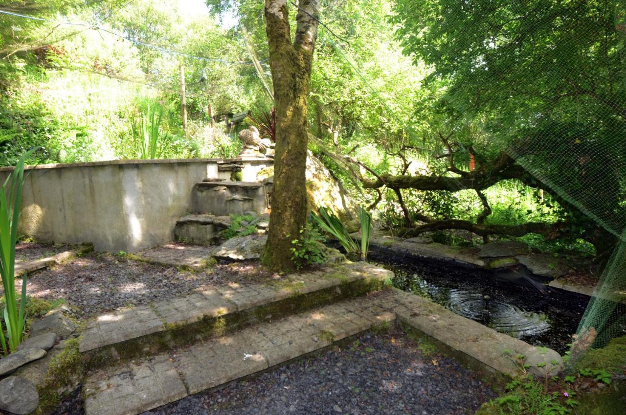 ווסטפורט Tawny Lodge מראה חיצוני תמונה